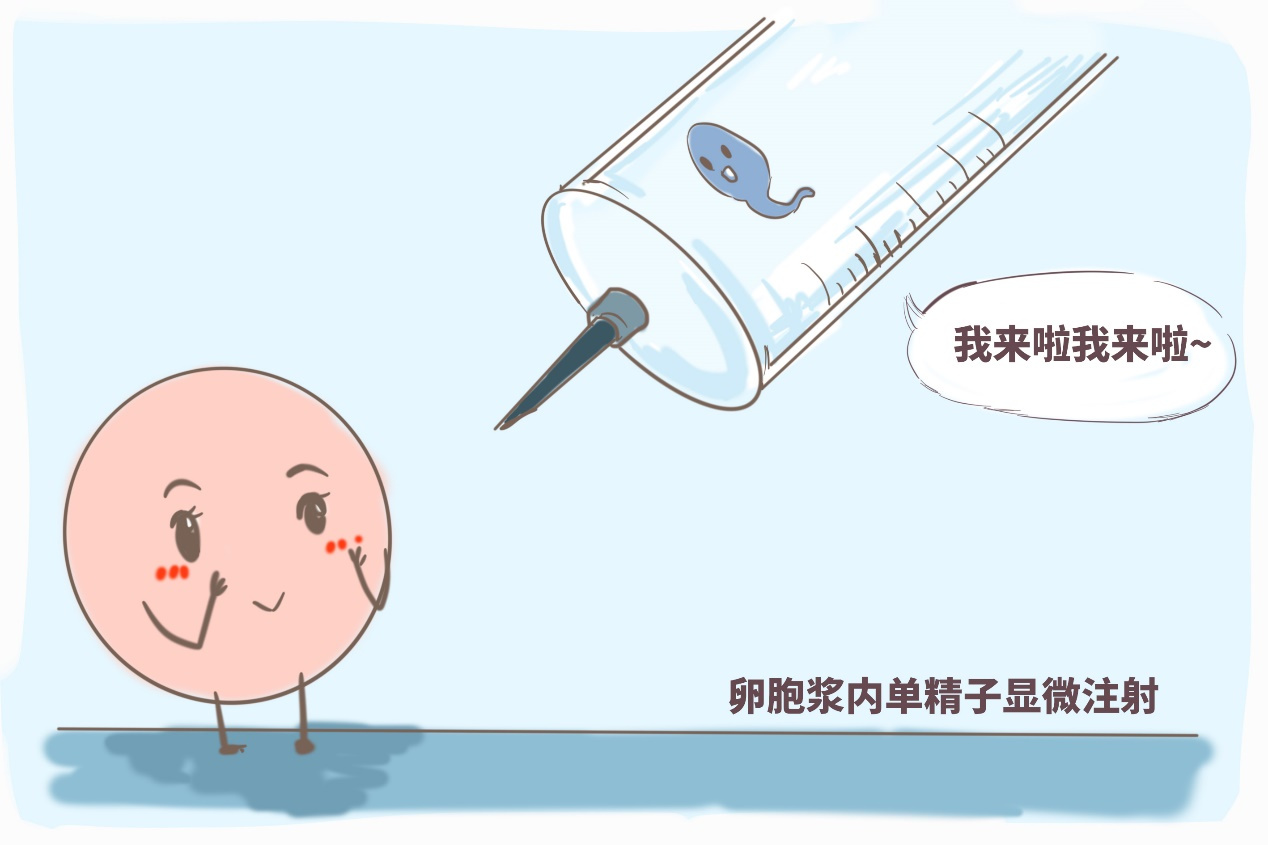 试管婴儿 (IVF) 是一种辅助生殖技术，可以帮助一些因各种原因无法自然怀孕的女性实现生育。然而，试管婴儿也可能会对女性造成一些后遗症或副作用，包括：